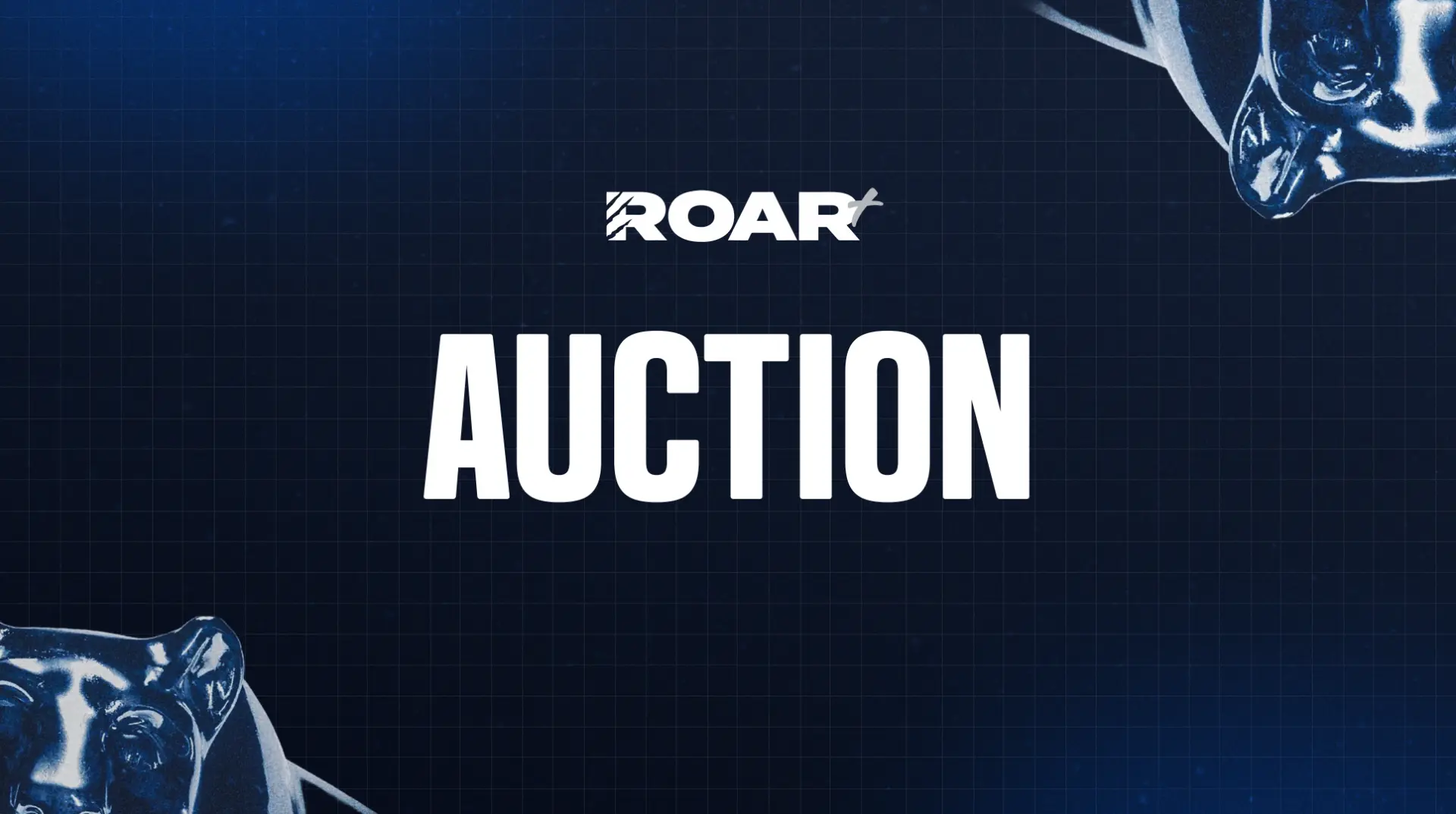 ROAR+